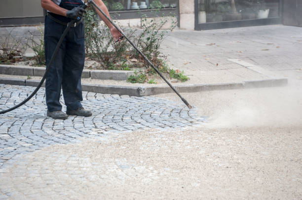 Best Sidewalk and Walkway Cleaning  in Wellington, TX