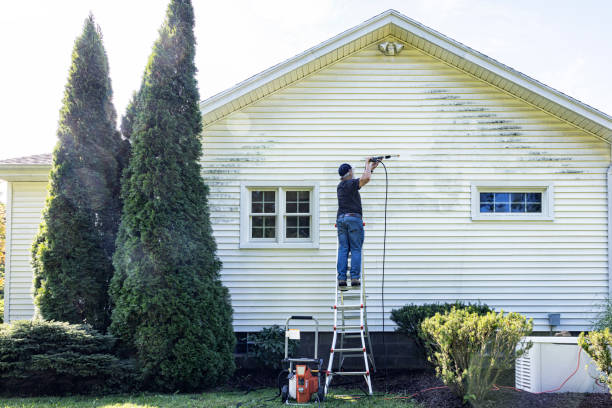 Best Spring Cleaning  in Wellington, TX